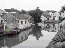 Tongli4