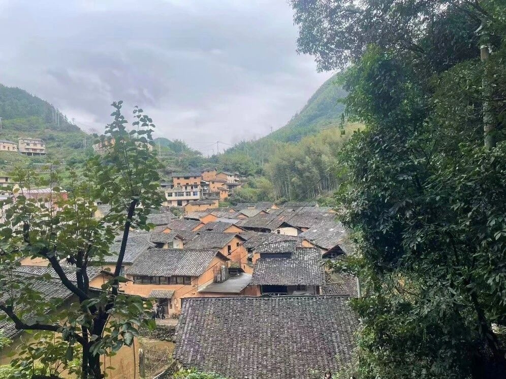 微信图片_2026-03-25_152510_711