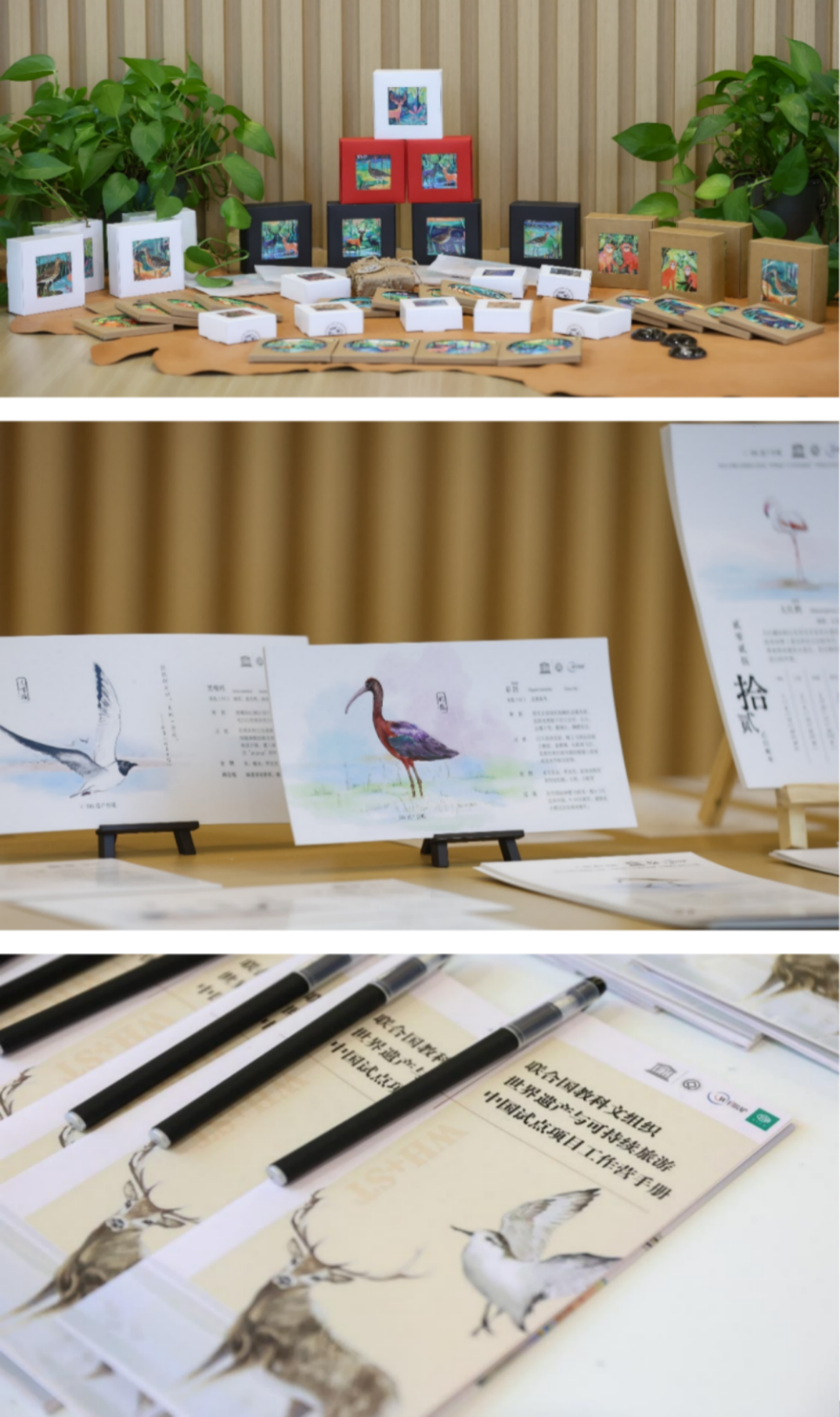 微信图片_2026-03-26_104049_699