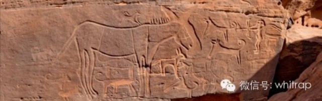 gt_equine_hunting_scene_at_shuwaymis