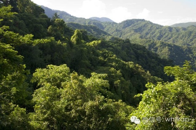 lanshan