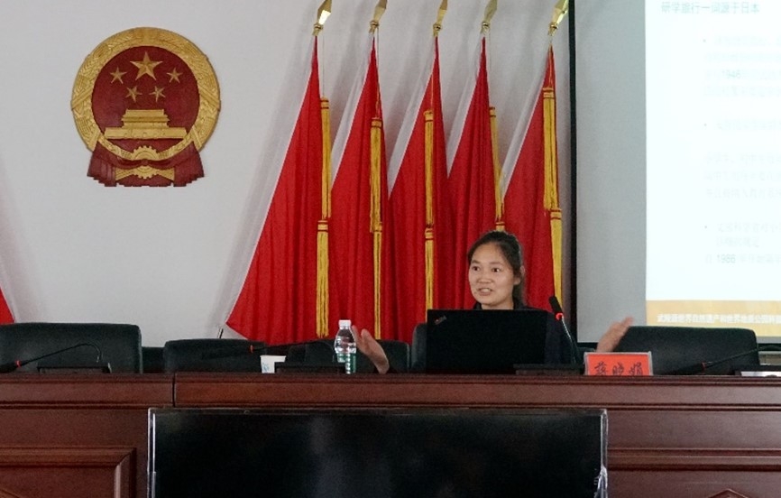 图片7
