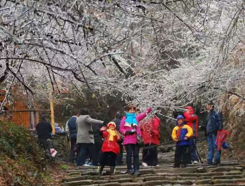 WeChat Image_20210303174650