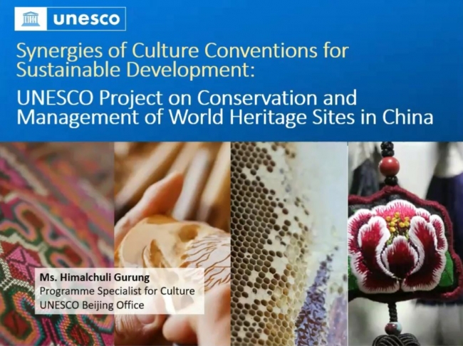 Synergies of Cultural Conventions
