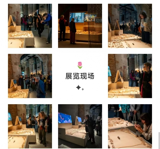 微信图片_20250515160535