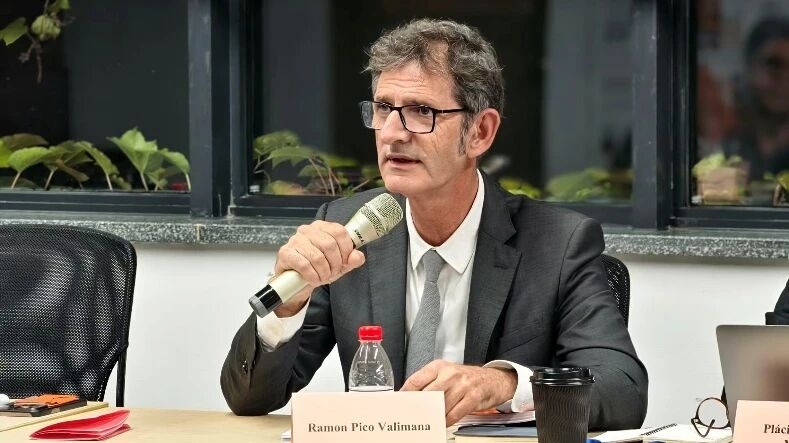 Professor Ramón Pico Valimaña speaking